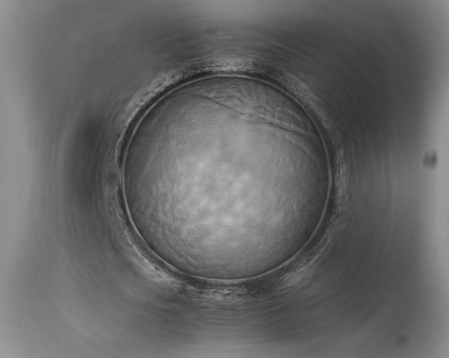 X0000114110721200910051512