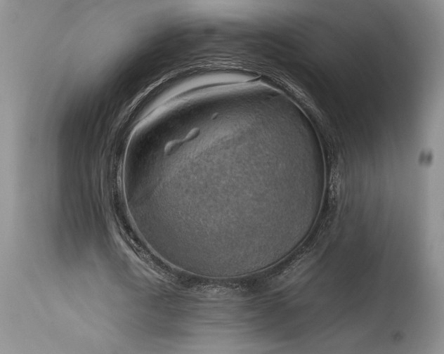 X0000114110722200910051512
