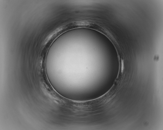 X0000114110723200910051512