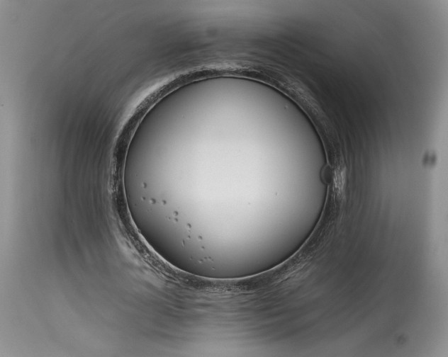 X0000114110724200910051512