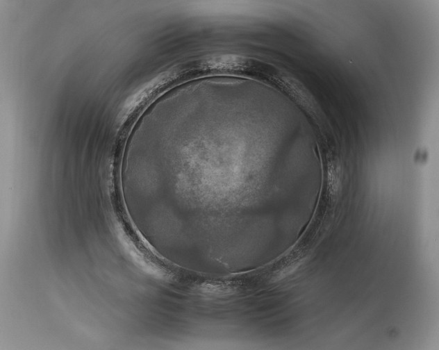 X0000114110725200910051512