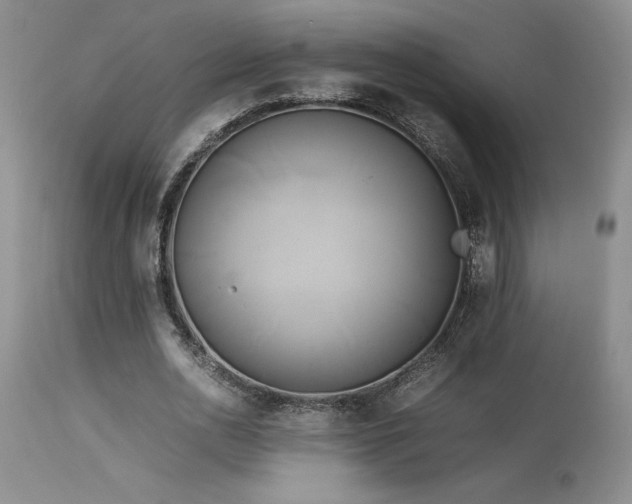 X0000114110726200910051512