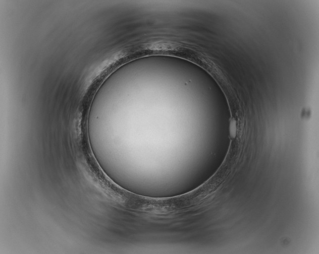 X0000114110727200910051512