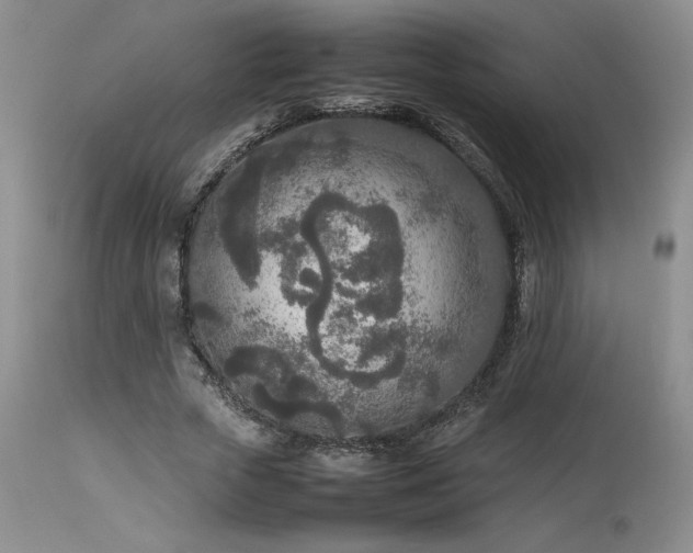 X0000114110729200910051512