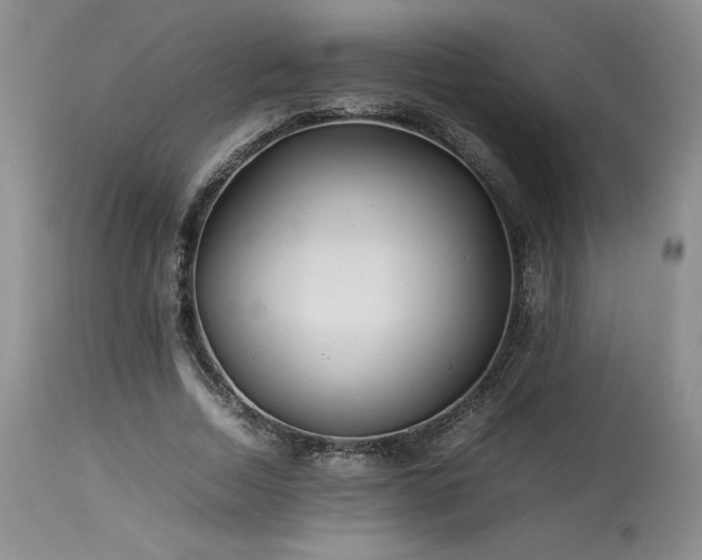 X0000114110730200910051512
