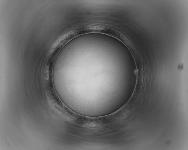 X0000114110731200910051512