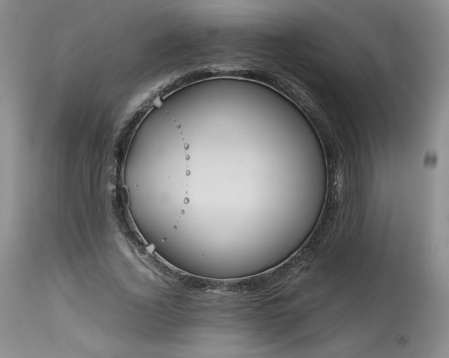 X0000114110732200910051512