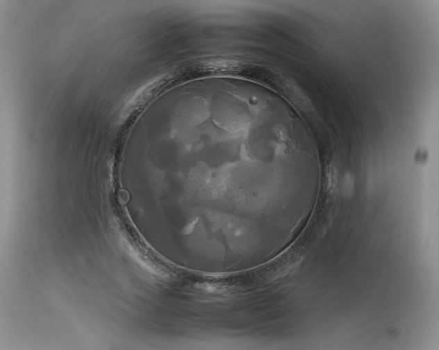 X0000114110733200910051512