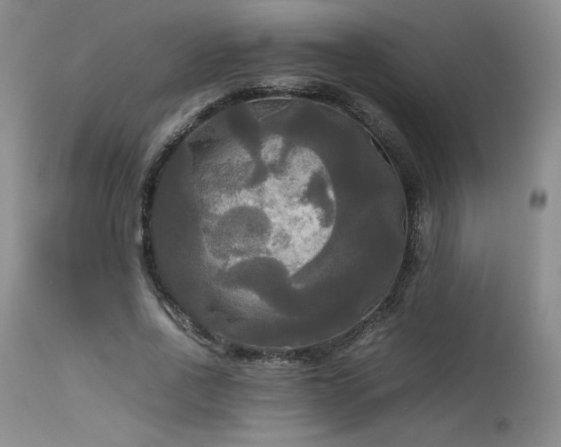 X0000114110734200910051512