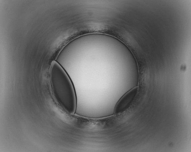 X0000114110736200910051512