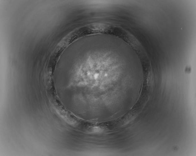 X0000114110737200910051512
