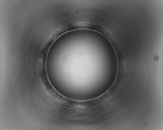 X0000114110739200910051513