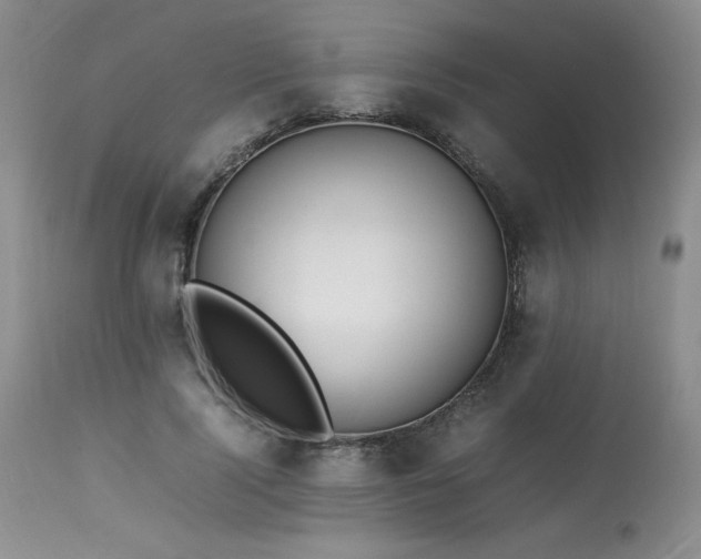 X0000114110740200910051513