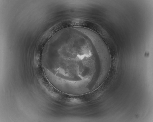 X0000114110741200910051513