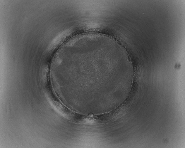 X0000114110742200910051513