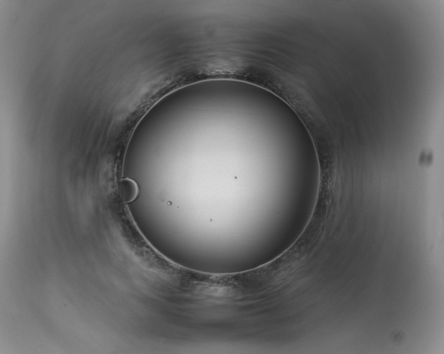 X0000114110743200910051513