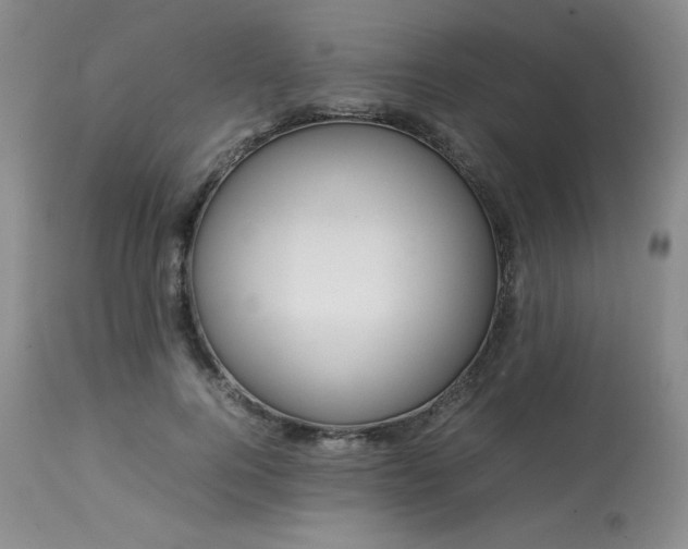X0000114110744200910051513