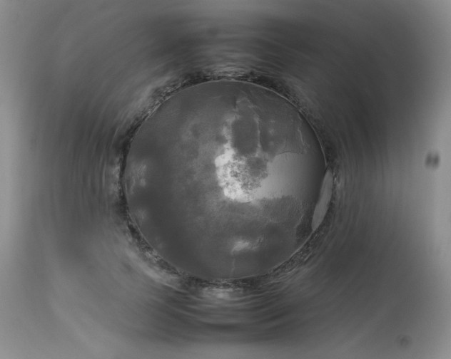 X0000114110745200910051513