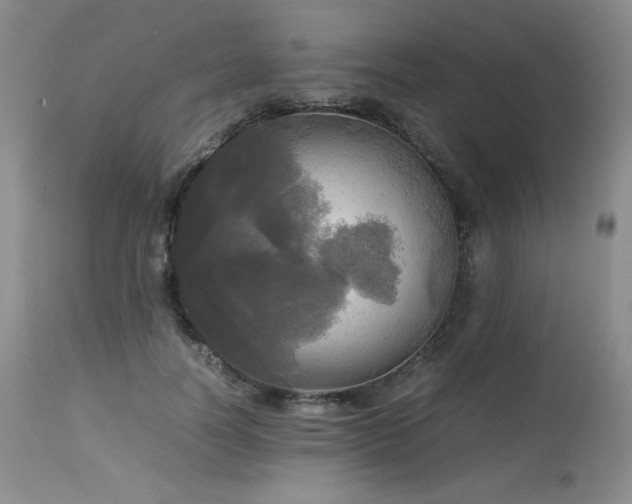 X0000114110746200910051513