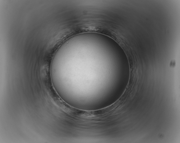X0000114110747200910051513