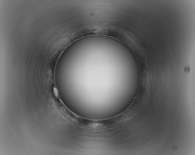 X0000114110748200910051513