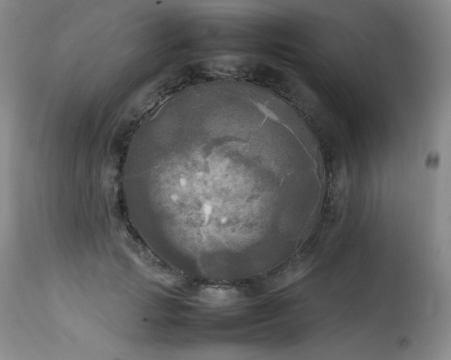 X0000114110749200910051513