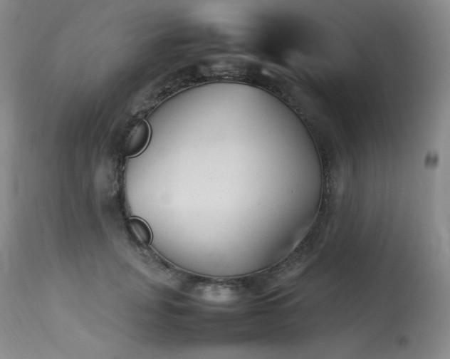 X0000114110751200910051513
