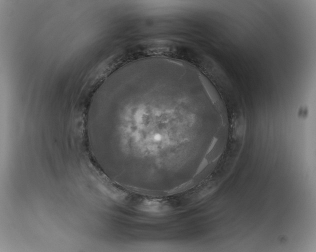 X0000114110753200910051513