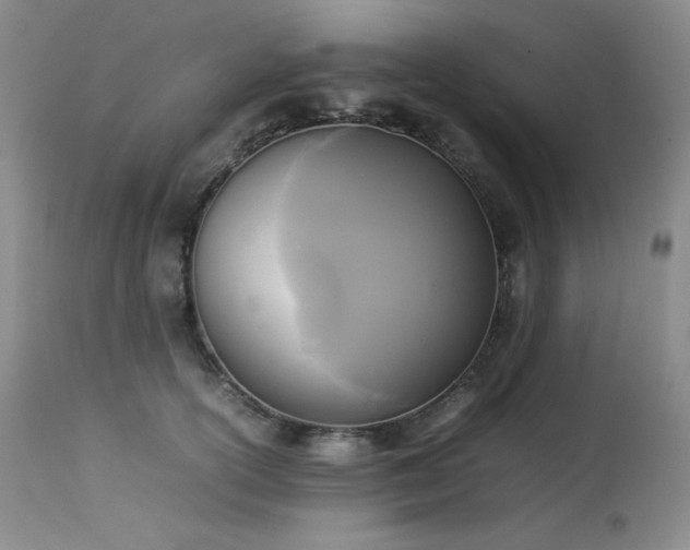 X0000114110754200910051513