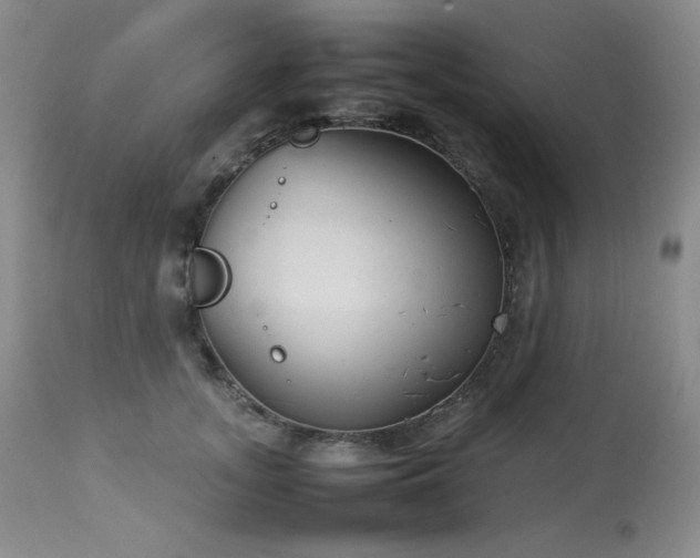 X0000114110755200910051513