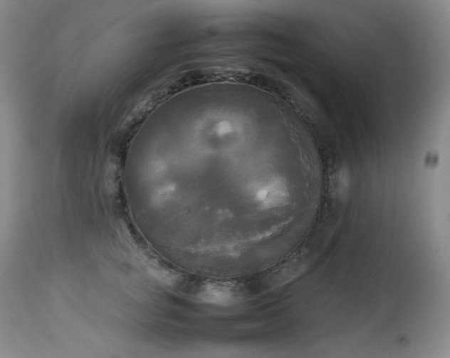 X0000114110757200910051513