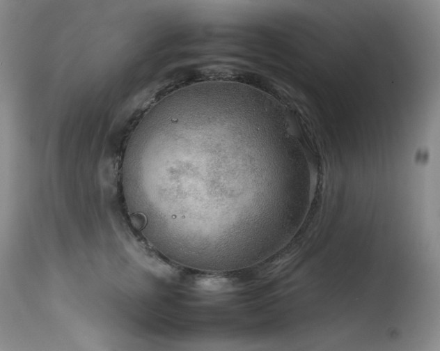 X0000114110759200910051513