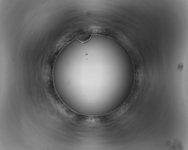 X0000114110760200910051513