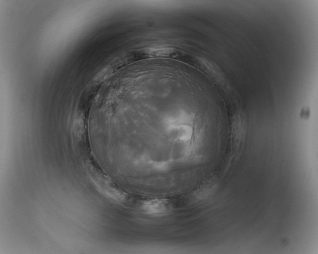 X0000114110761200910051513
