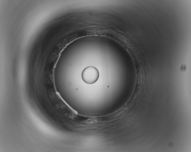 X0000114110764200910051513