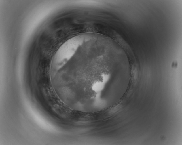 X0000114110765200910051513