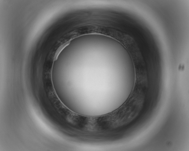 X0000114110766200910051513