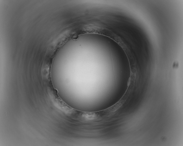 X0000114110767200910051513