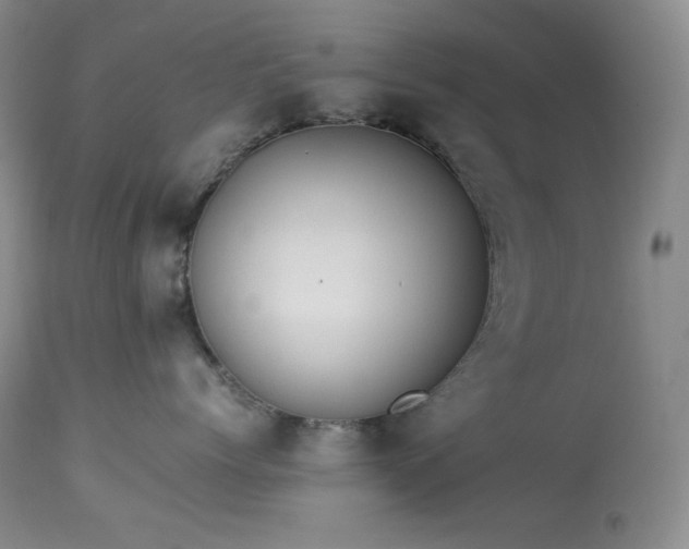 X0000114110768200910051513