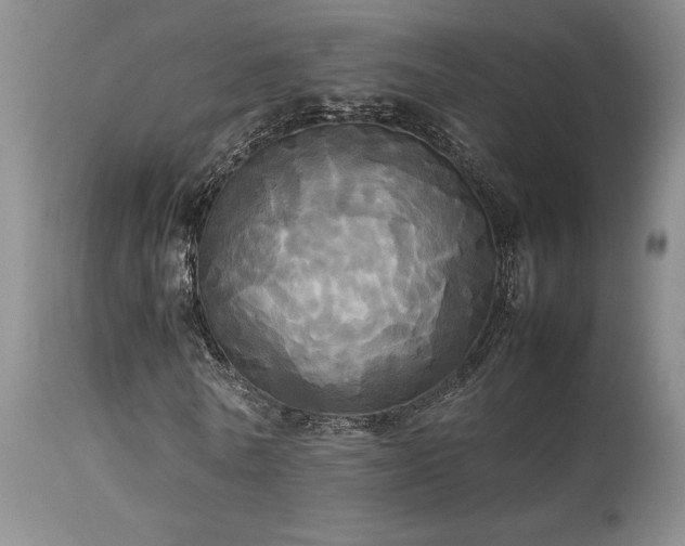 X0000114110770200910051512