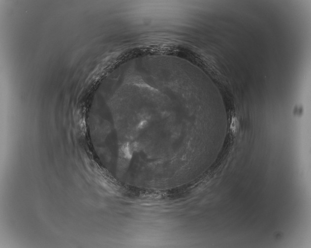 X0000114110771200910051512