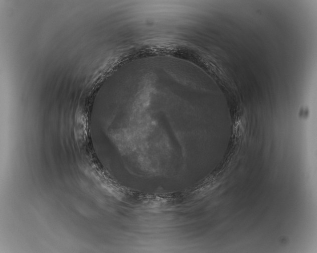 X0000114110772200910051512