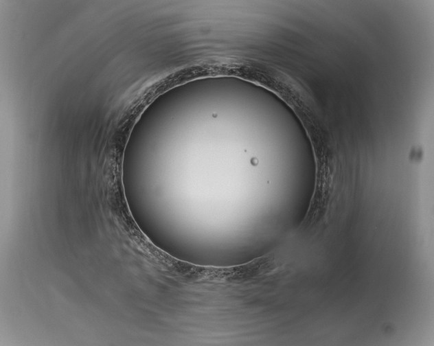 X0000114110773200910051512