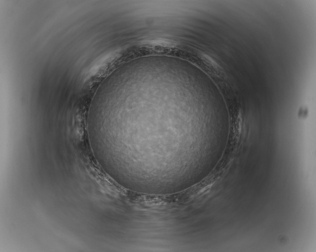 X0000114110774200910051512