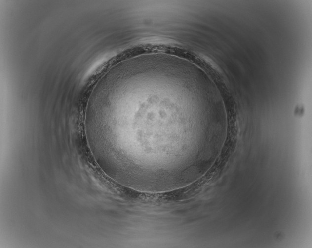 X0000114110775200910051512