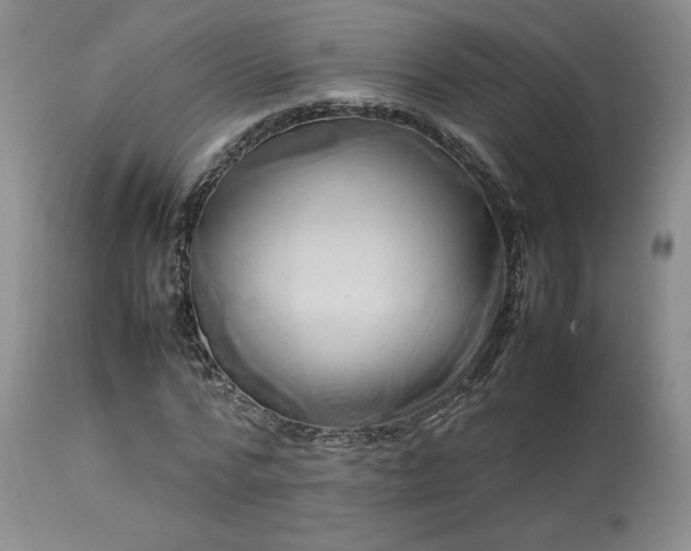X0000114110776200910051512