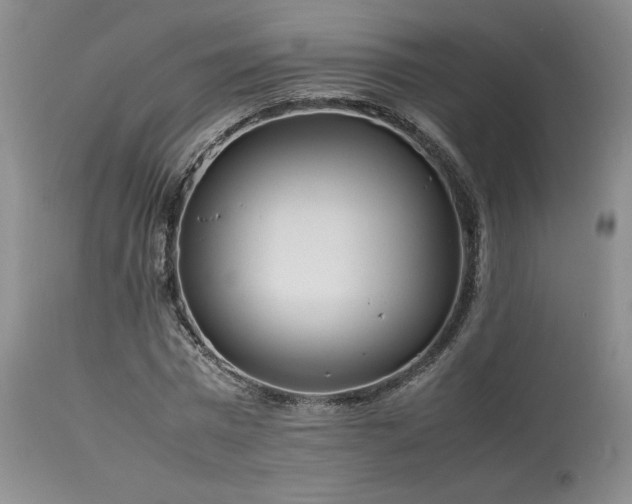 X0000114110777200910051512