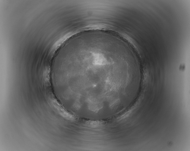 X0000114110778200910051512