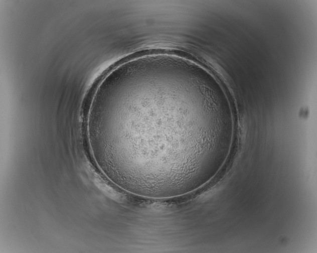 X0000114110779200910051512