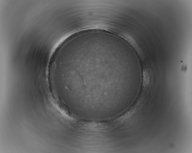 X0000114110780200910051512